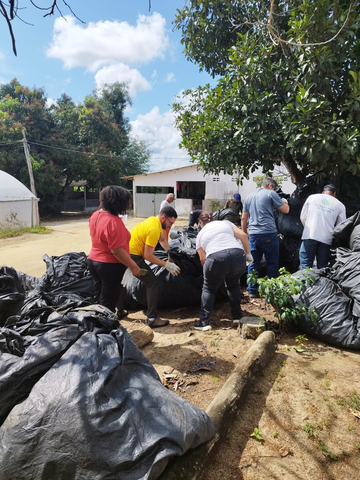 *Semana de prevenção para reduzir acidentes com animais peçonhentos