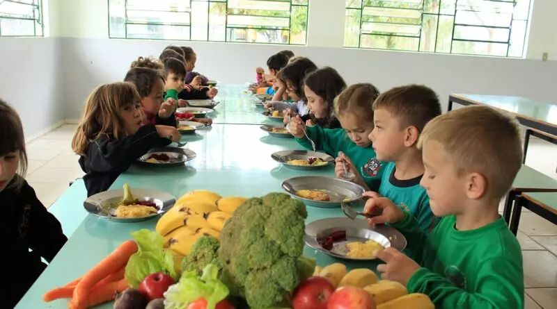 Educação com alimentação saudável fortalece agricultores de Mafra