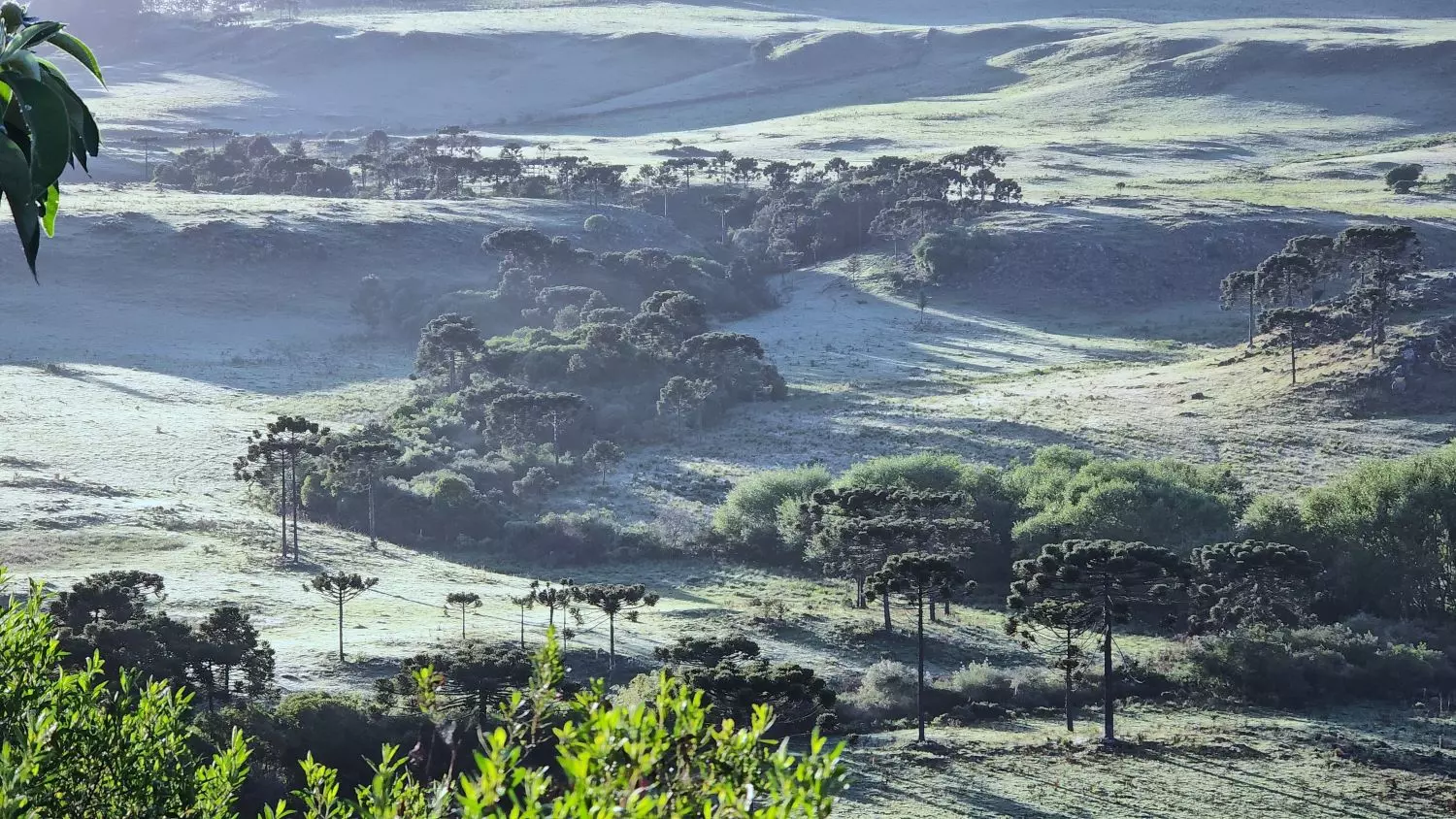 Frente fria derruba as temperaturas a partir de quarta-feira