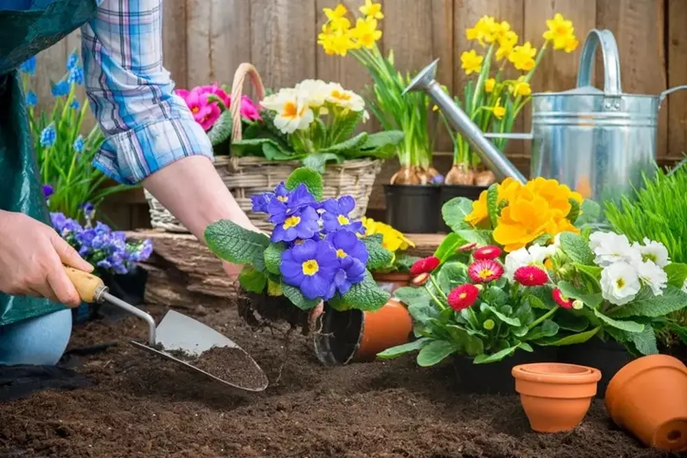 Curso gratuito de jardinagem para mulheres está com inscrições abertas