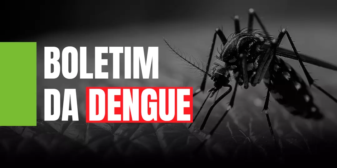 Saúde registra mais de 45 mil focos do mosquito Aedes aegypti em SC