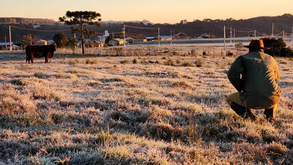 Nova onda de frio em SC prevê temperaturas negativas, geada e congelamento de pistas