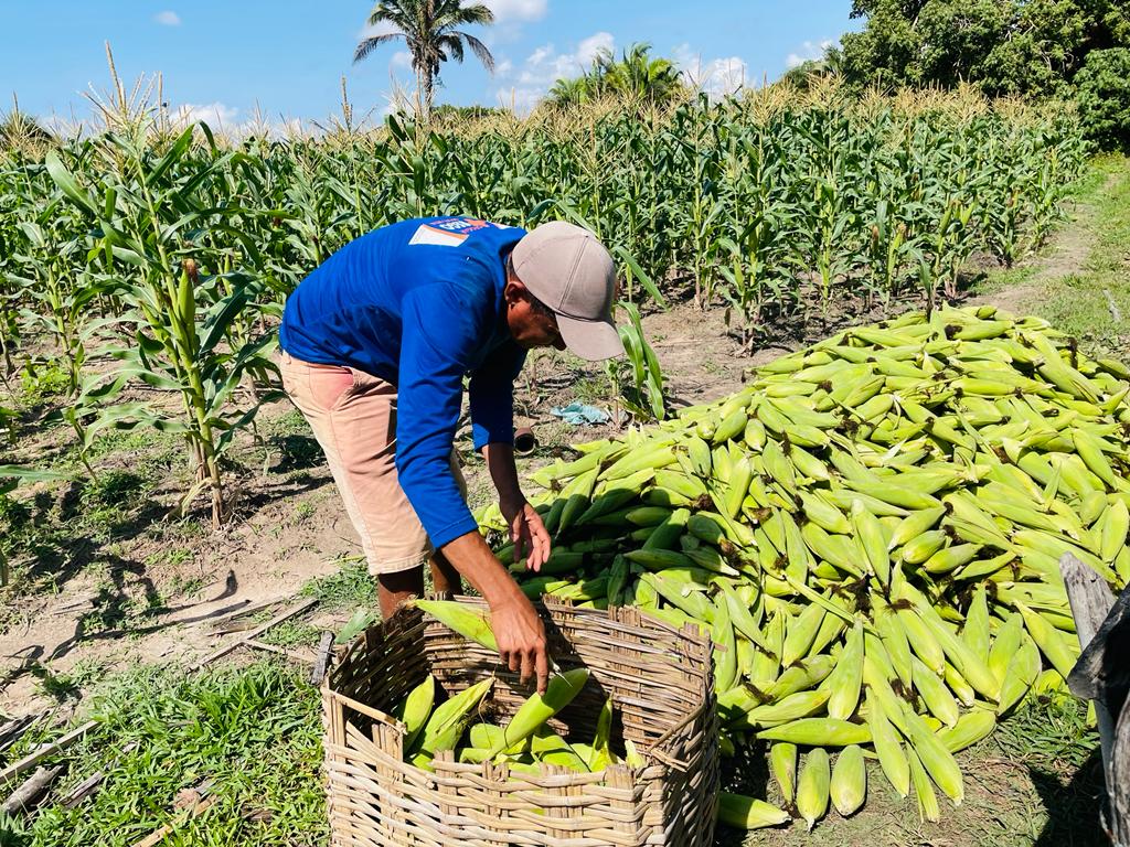 Prefeitura de União (PI) abre chamada pública para aquisição de alimentos  da agricultura familiar