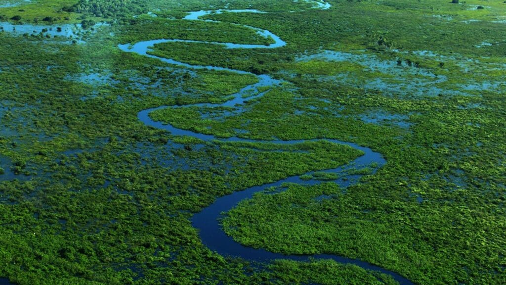 Você conhece o Pantanal dessa forma?