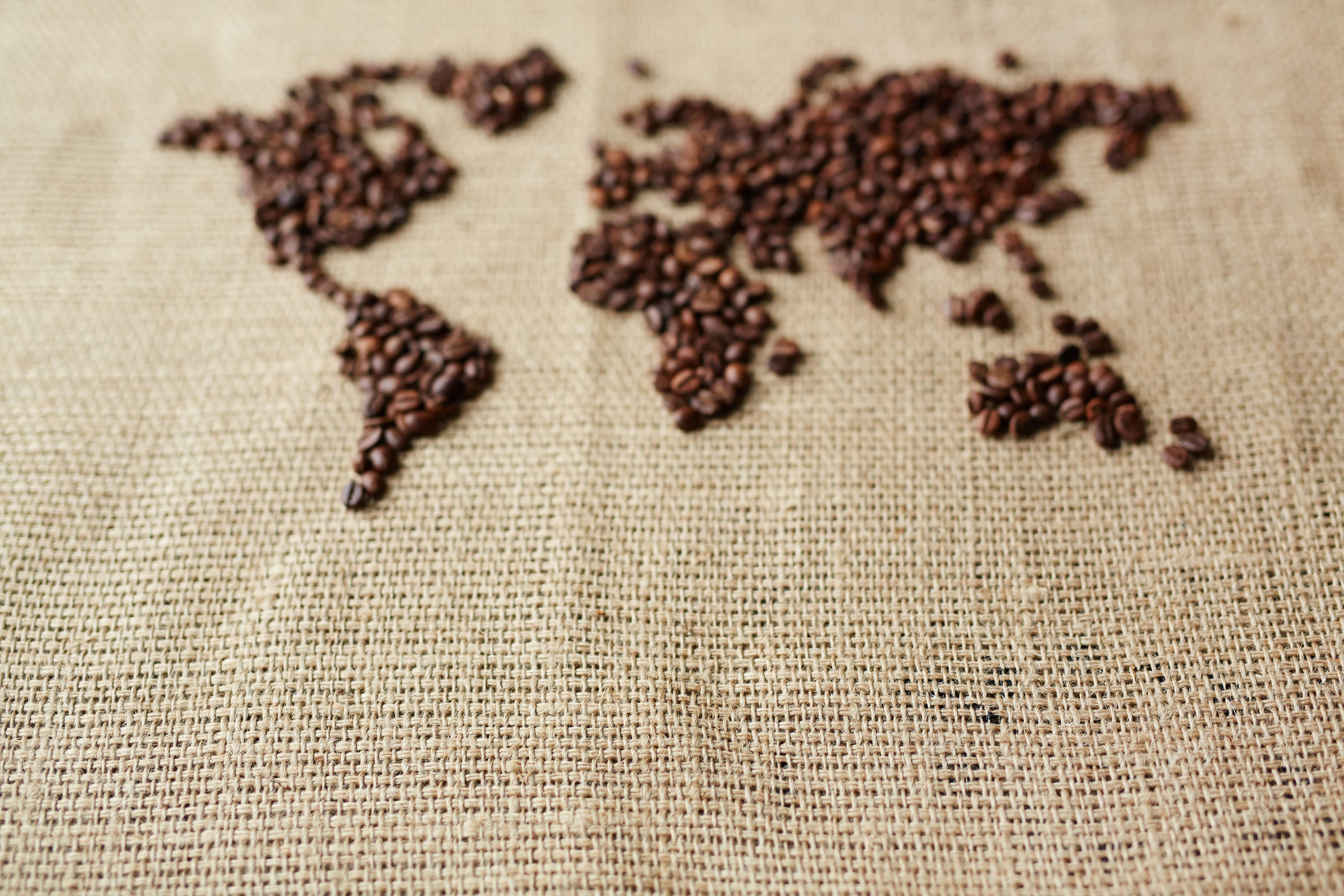 O complexo cenário africano e suas oportunidades para o agro