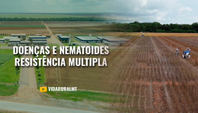 PESQUISA DE MELHORAMENTO GENÉTICO DE SOJA EM MT