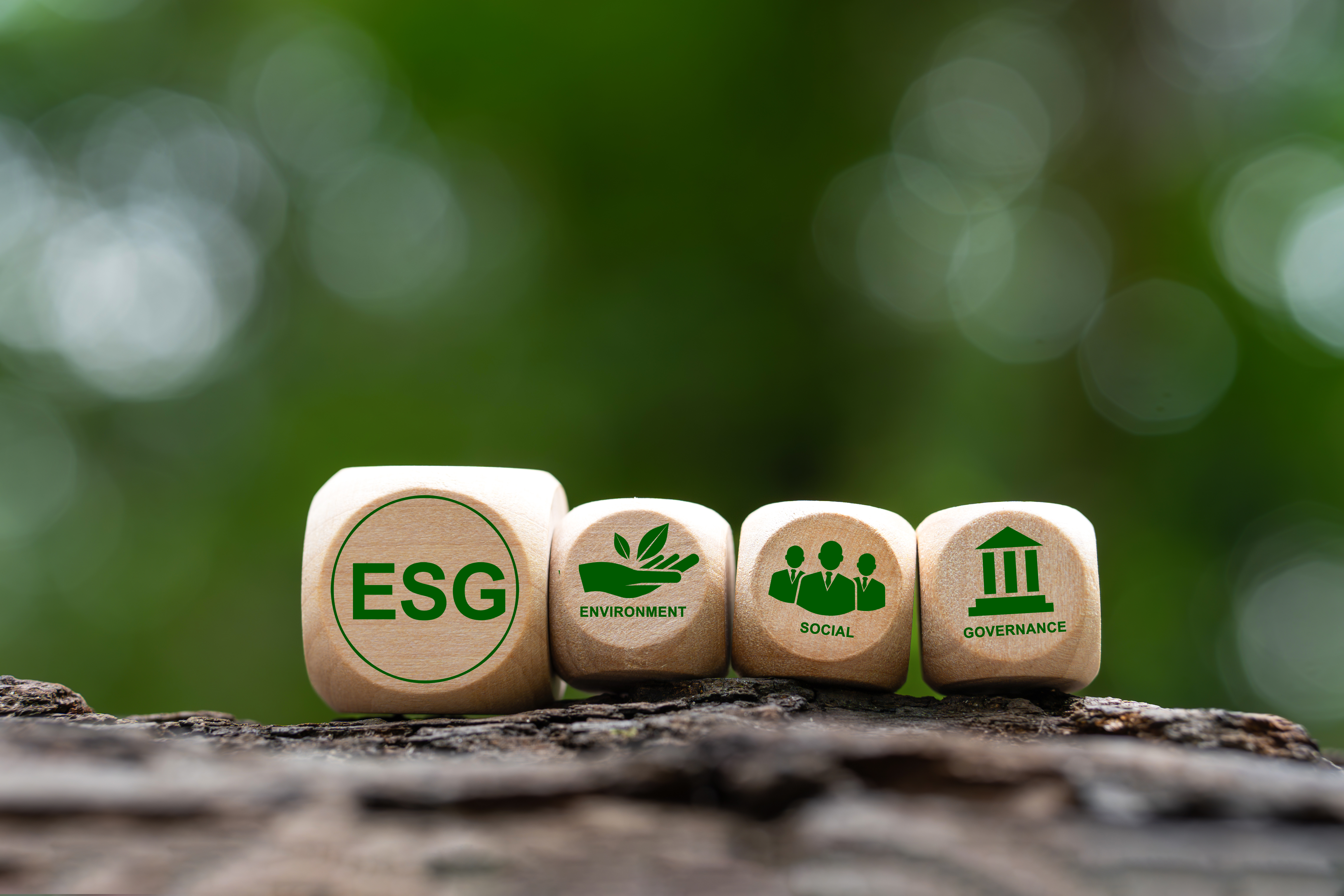 ESG: Como a sustentabilidade pode ser a chave para o futuro da produção rural