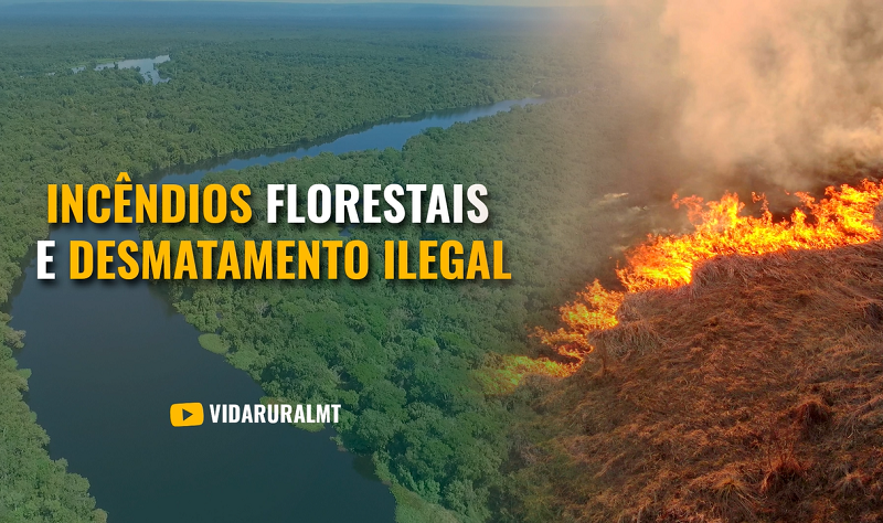 ESTRATÉGIAS NO COMBATE A INCÊNDIOS FLORESTAIS E DESMATAMENTO ILEGAL EM MT