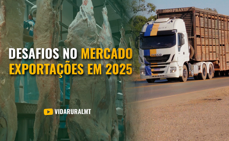 EXPORTAÇÃO-DESAFIOS PARA MANTER A LIDERANÇA GLOBAL EM 2025