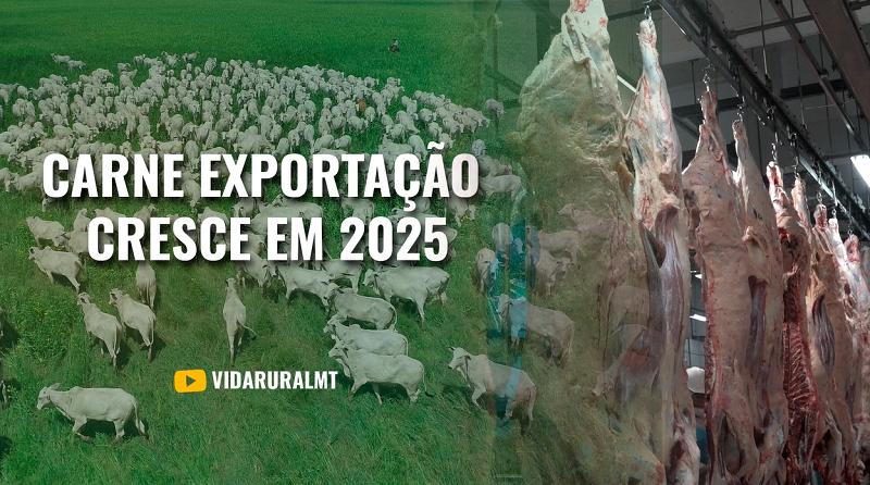 FIRMADA A PARCERIA PARA EXPORTAÇÃO DE CARNE BRASILEIRA