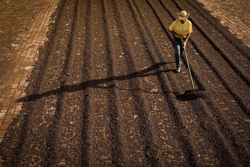 Campo Futuro inicia levantamento de custos de produção no país