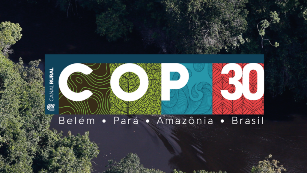 Mercado de carbono e PSA: entenda como o Brasil pode liderar na COP30