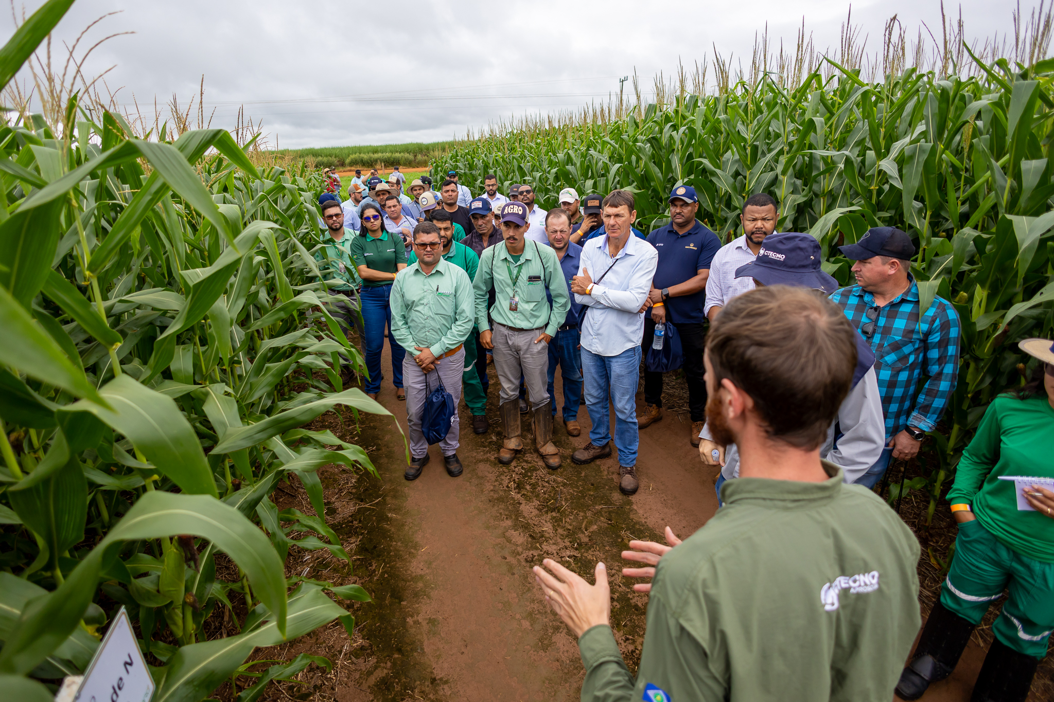 Visita ao CTECNO Parecis mostra estratégia de manejos para segunda safra em solos arenosos