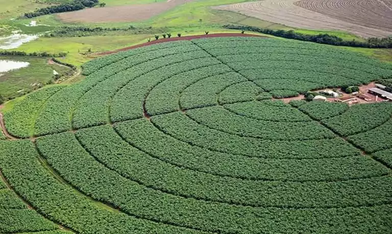 Governo Federal lança plano integrado para desenvolvimento dos polos de irrigação