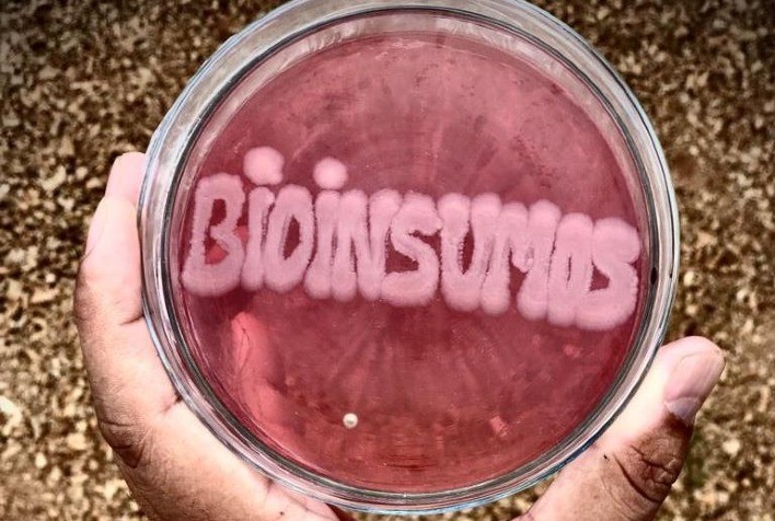 A precificação de bioinsumos pelo Cepea: desafios e perspectivas para o estabelecimento de um mercado futuro