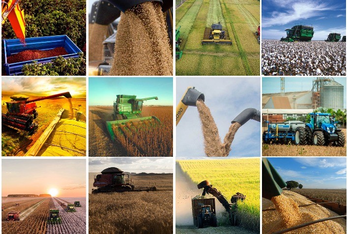 Brasil diversifica produção agrícola e rompe com estigma da monocultura