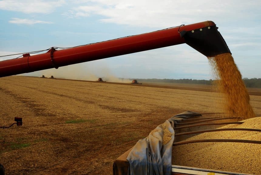 Entidade apresenta proposta de padronização para classificação da soja