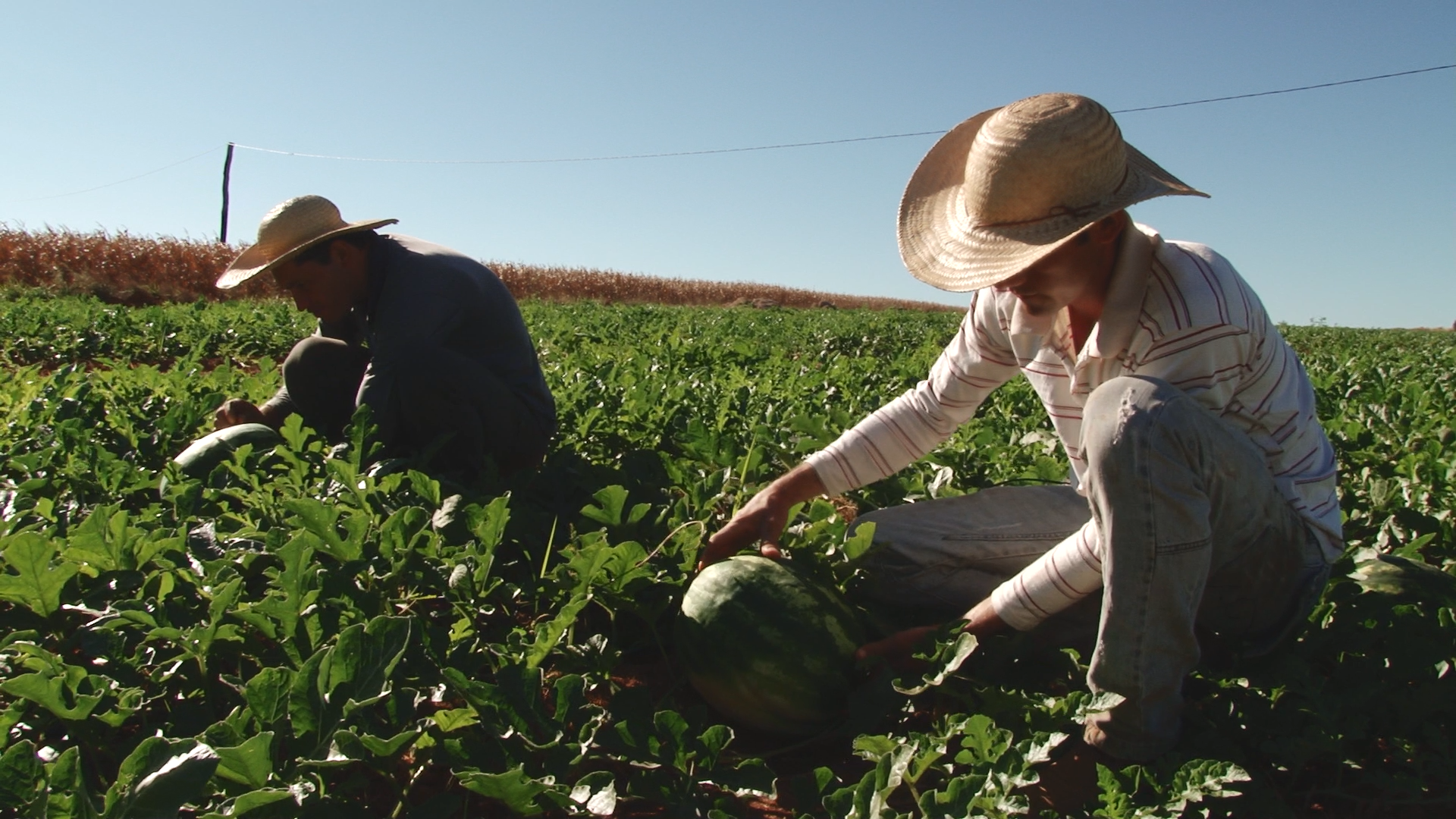 Mecanização na agricultura familiar será impulsionada após acordo firmado entre Brasil e China
