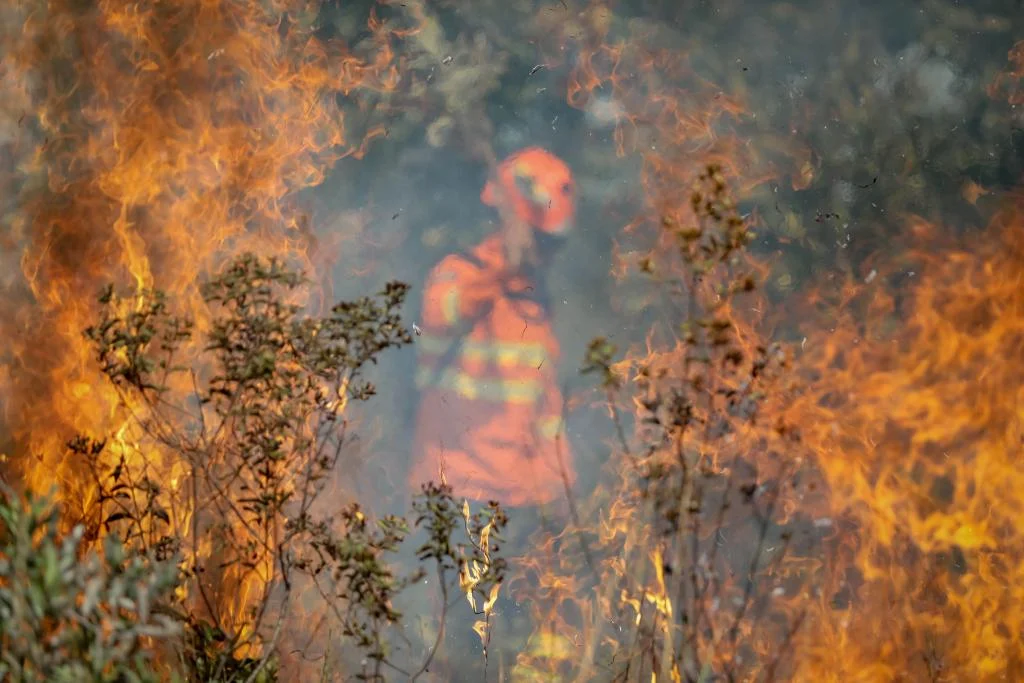 Pantanal: período proibitivo do uso do fogo começa dia 1º de junho