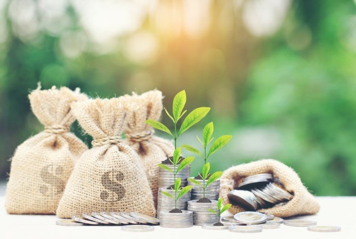 Financiamento Verde e Crédito Sustentável: A Nova Era do Crédito no Agronegócio Brasileiro