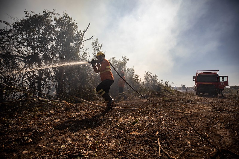 Famato apoia congresso internacional sobre incêndios florestais e reforça compromisso do agro com a preservação ambiental