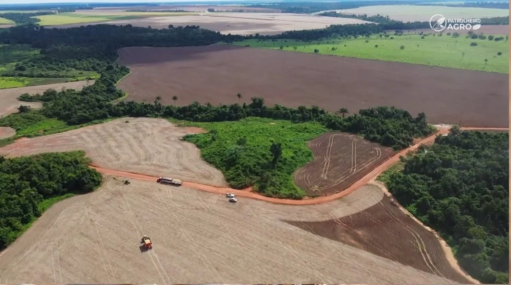 Moratória da Soja restringe 2,7 milhões de hectares em MT