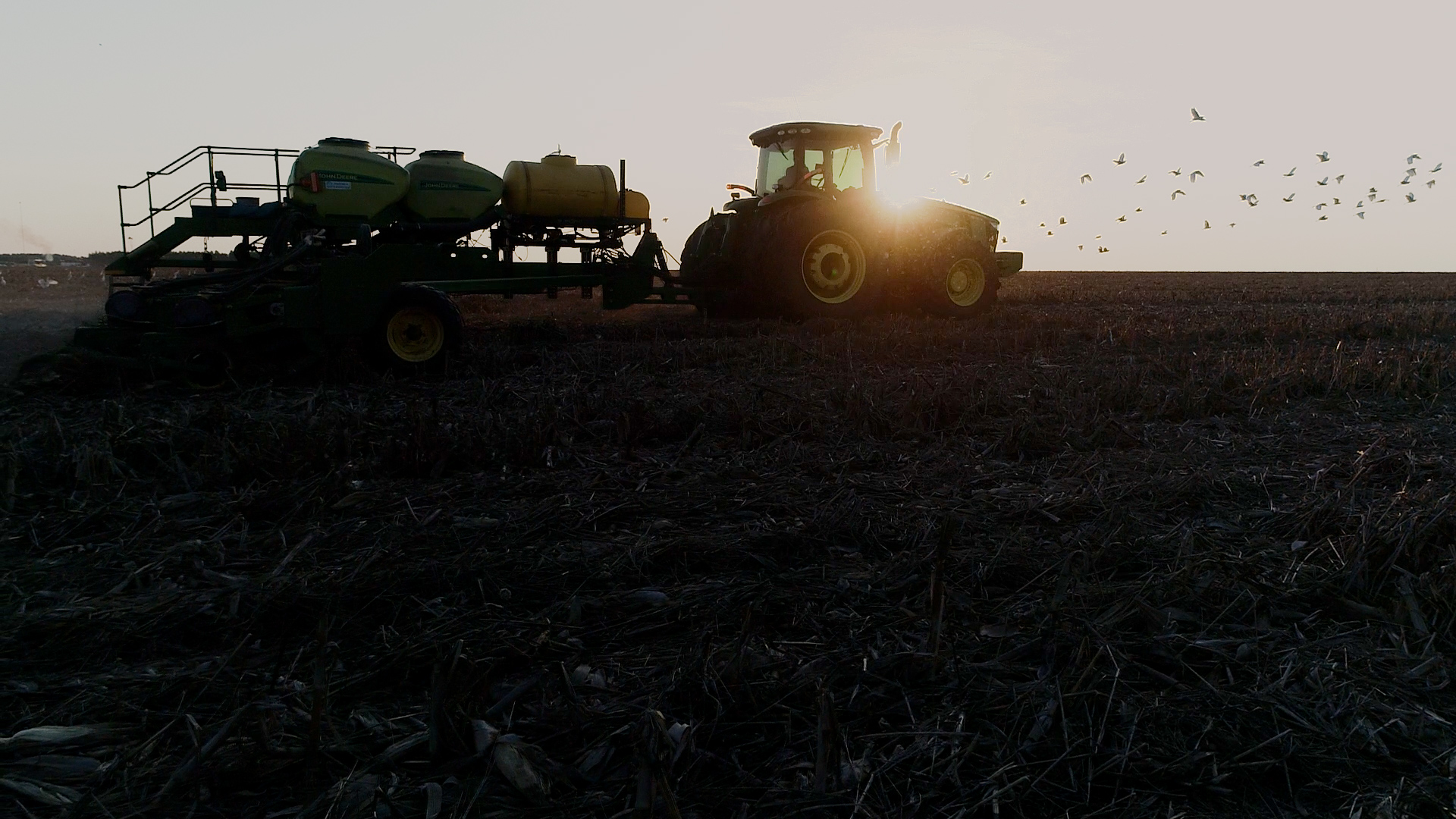 Agro busca protagonismo na COP 30 com soluções para clima, uso da terra e agricultura sustentável