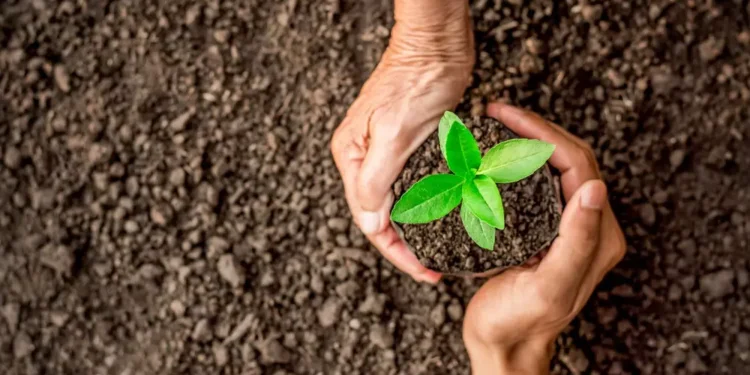 ABNT publica norma que fundamenta o Selo Verde Brasil