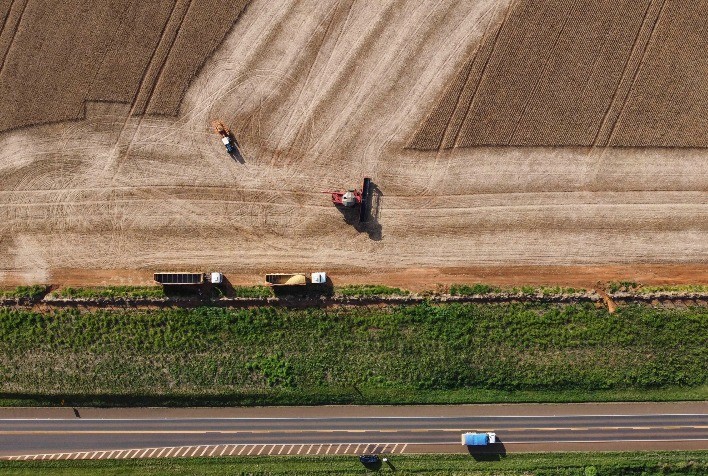 Colheita da soja em Mato Grosso alcança 65,75% da área e mantém boas perspectivas para a safra 2025/26