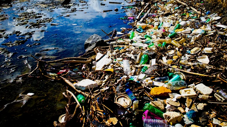 Saiba como e quanto os microplásticos afetam sua saúde