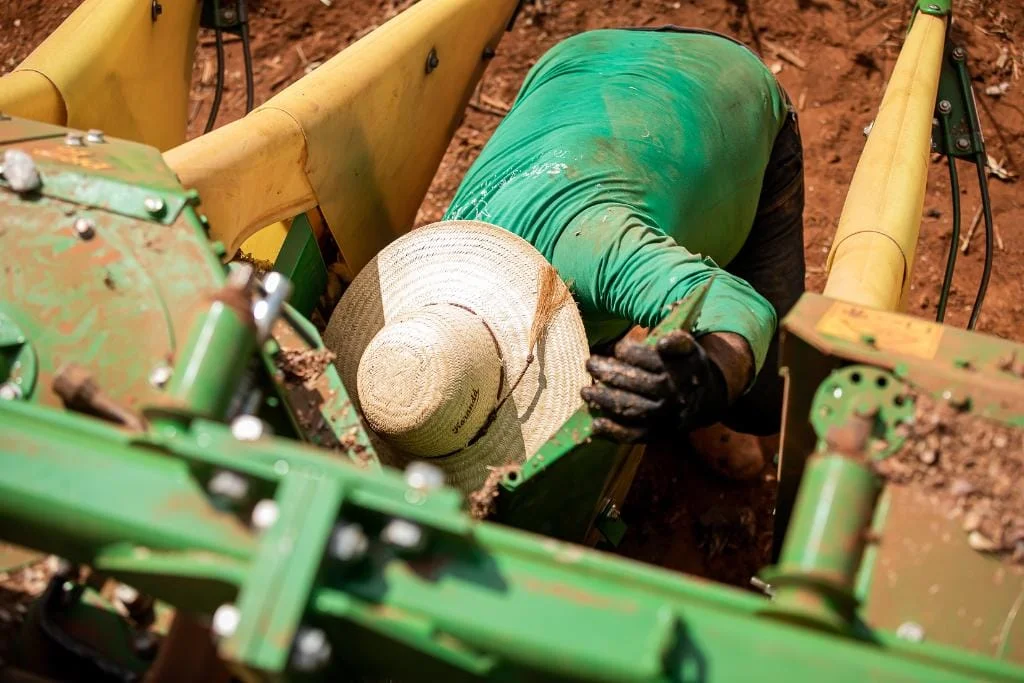 MT abre 2026 com saldo de 18,7 mil novos empregos com carteira assinada; agro lidera