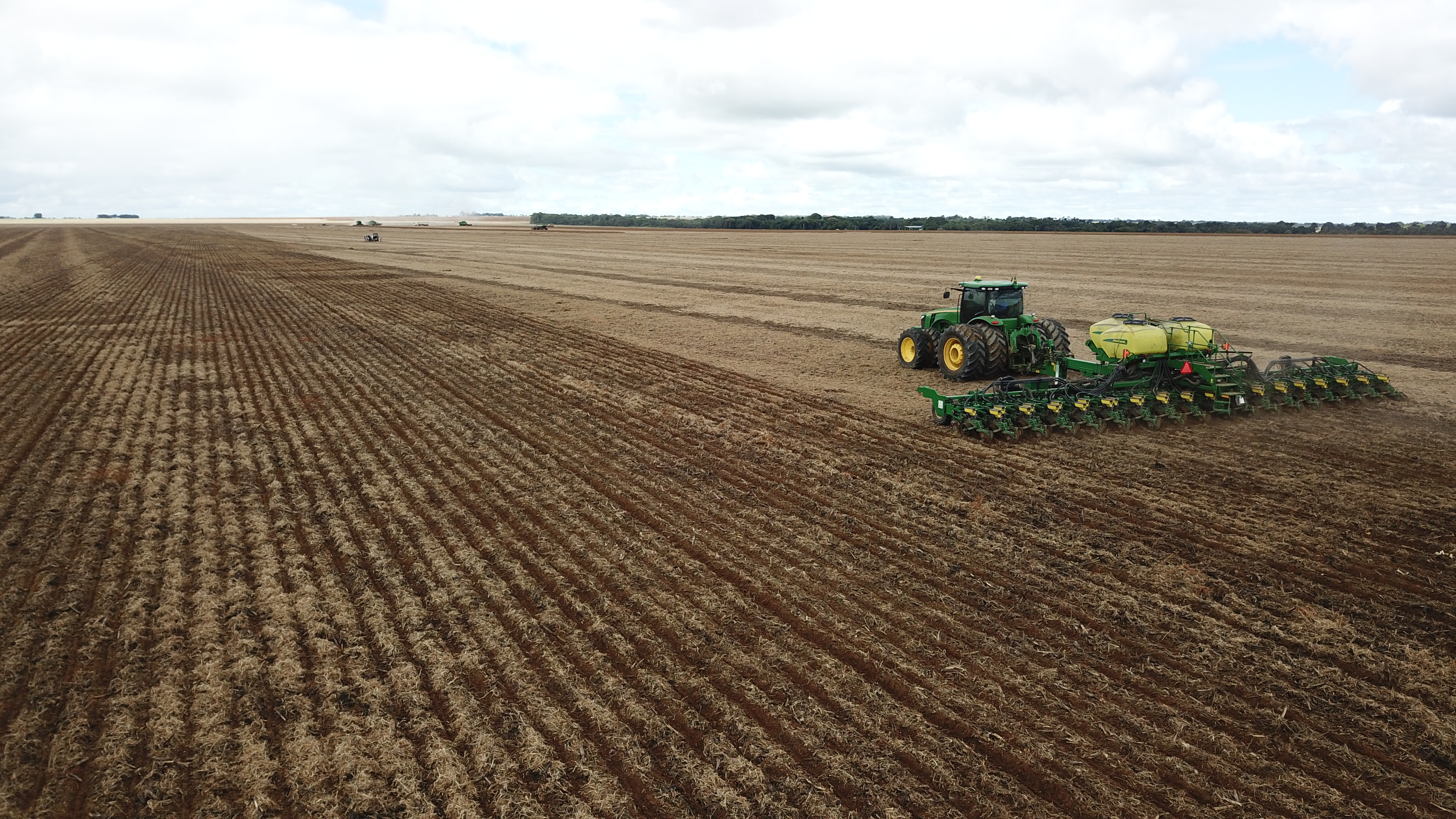 Excesso de chuvas preocupa produtores e impacta plantio do milho em Mato Grosso