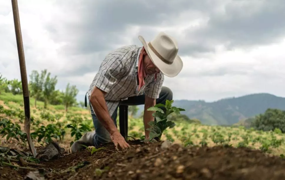 Caiado sanciona lei que autoriza criação de Endereçamento Rural Digital