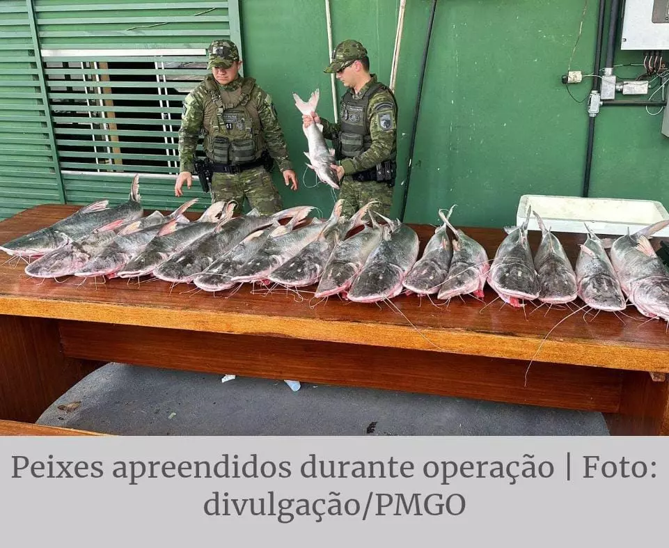Operação Piracema: 129 presos e mais de 3 toneladas de peixe apreendidas em Goiás