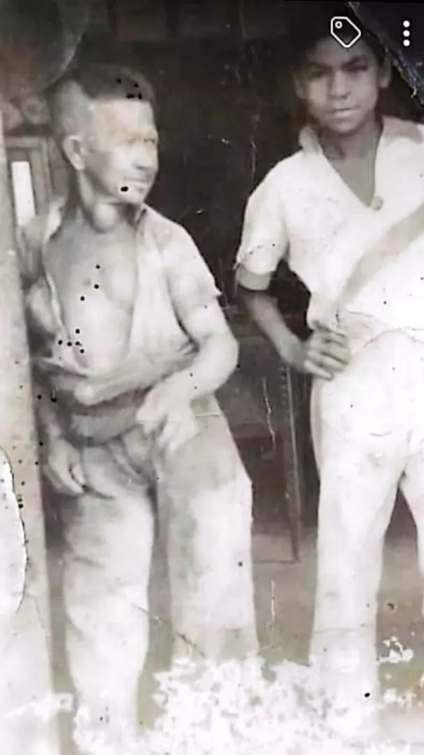 Bastiões dos cachorros: Conheça um pouco de sua história