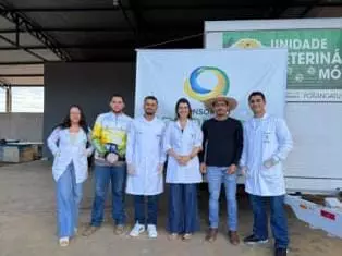 Prefeito Eudes de Araújo, saí a frente e realiza mutirão de castração de cães e gatos em Novo Planalto
