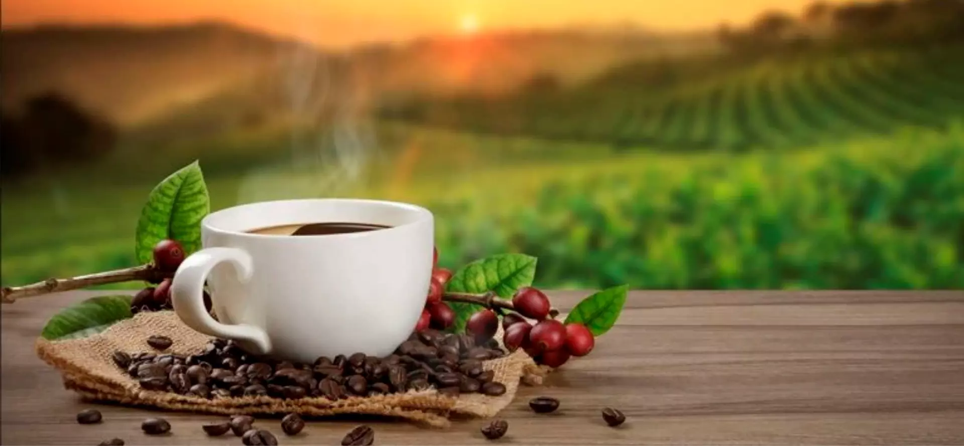 Cafés do Espírito Santo
