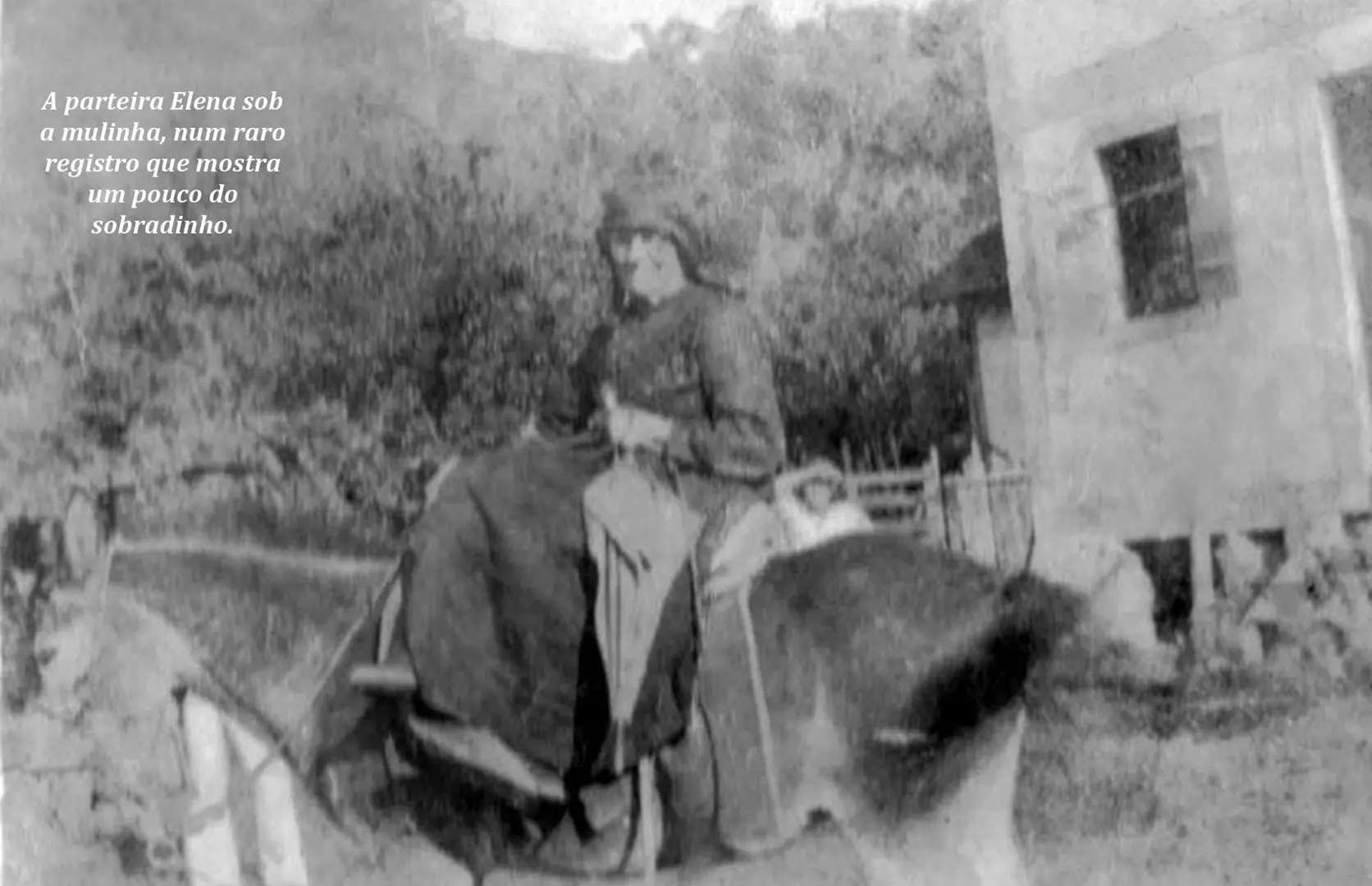 FAMÍLIA SOSSAI - A tesoura da parteira Elena Caliman Sossai