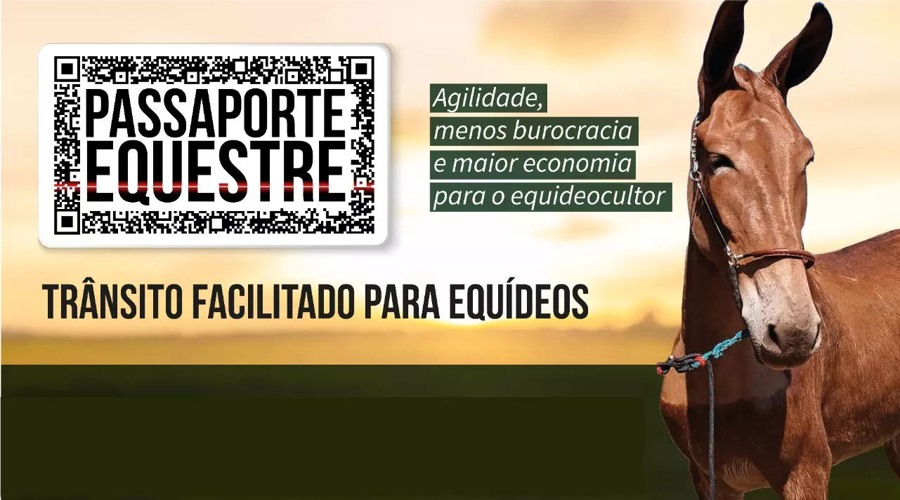 Governador Casagrande veta o Passaporte Animal