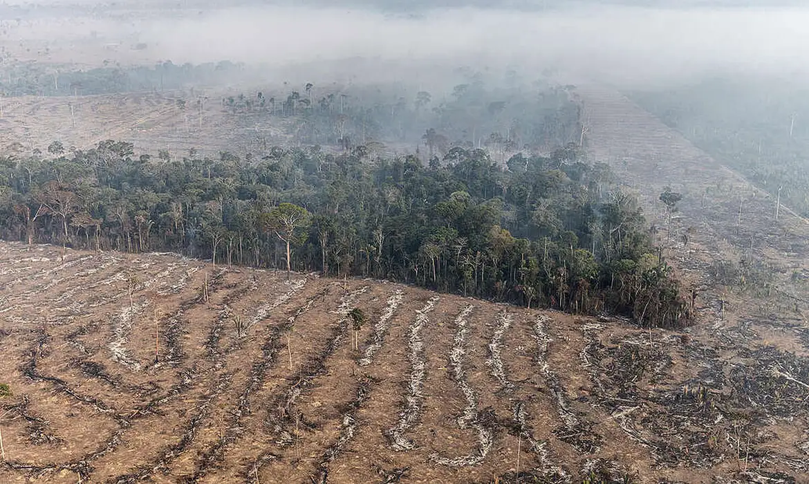 Fundo da Amazônia terá contribuição de R$ 91 milhões da Irlanda