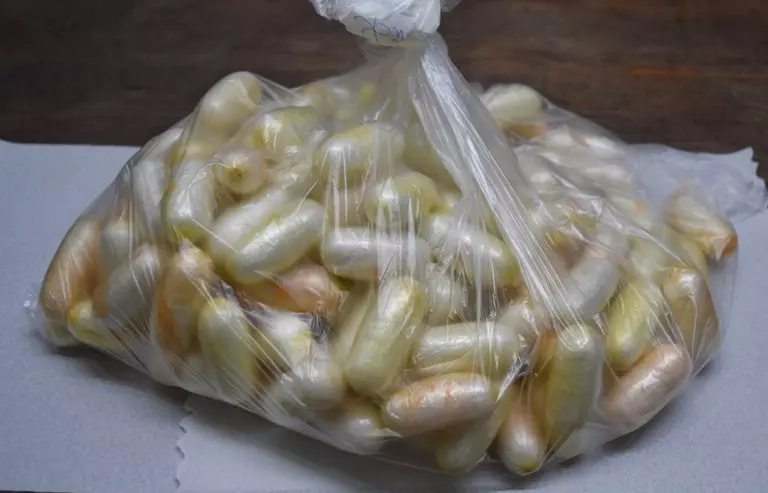 PF prende cinco por tráfico de drogas no Aeroporto Internacional de São Paulo