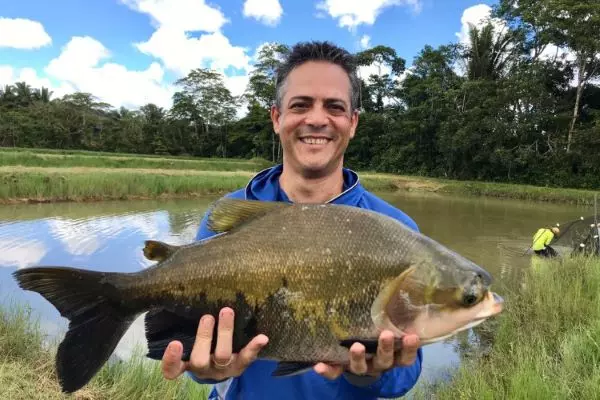 TAMBAQUI – Pesquisas buscam um peixe sem espinha e de ciclo mais curto