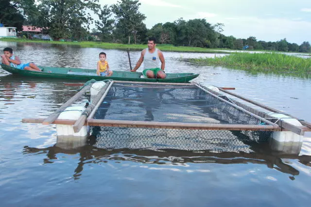 AQUICULTURA ][ Pesquisa paulista impulsiona 'revolução azul' no Dia da Aquicultura