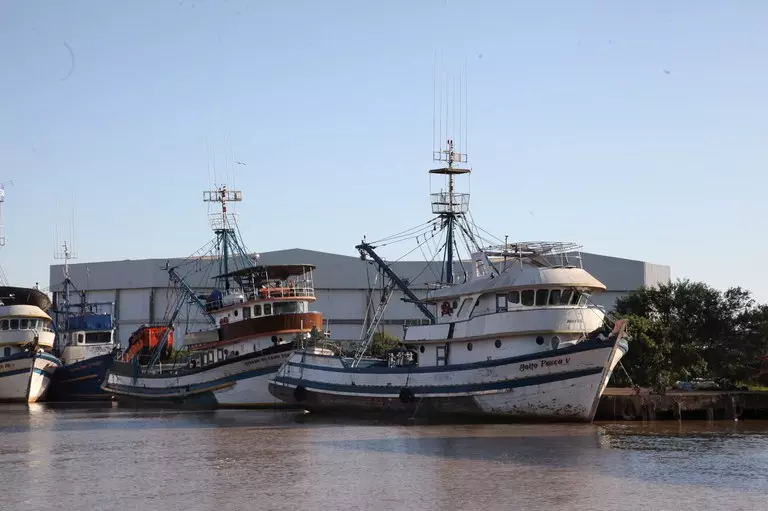 COMÉRCIO EXTERIOR ][ MPA emite novo certificado para exportar pescado