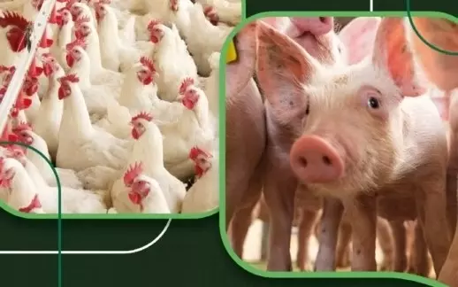 INTEGRAÇÃO ][ Nova edição do Manual das Cadecs fortalece setor