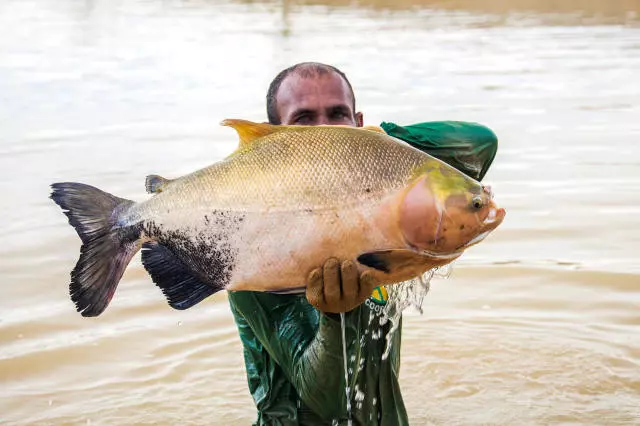 Imagem SlidePrincipal