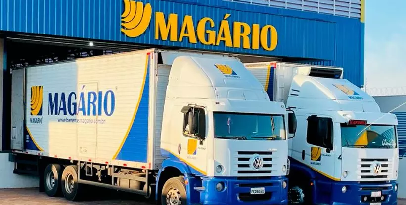 A foto mostra dois caminhões da empresa Bananas Mágario