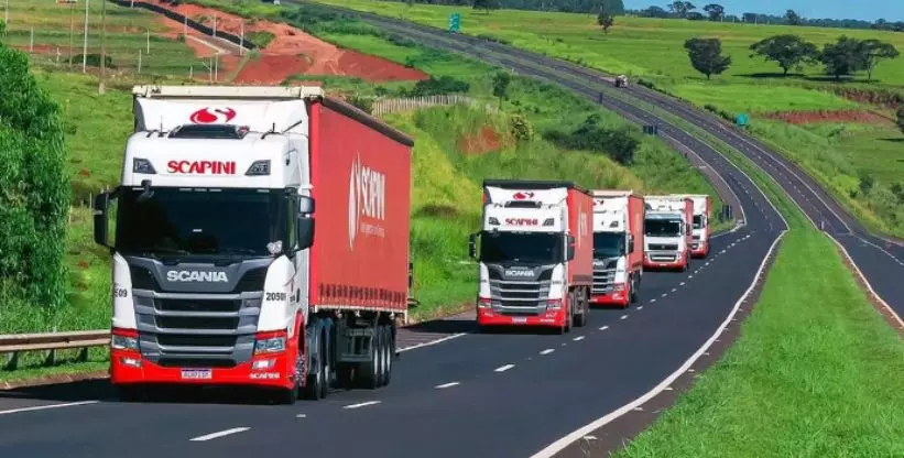 A foto mostra algumas carretas da Scapini Transportes