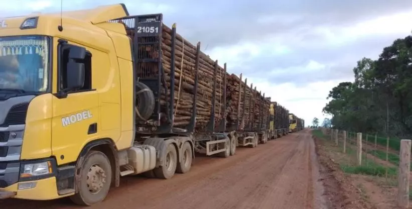A foto mostra um rodotrem da Model Transportadora