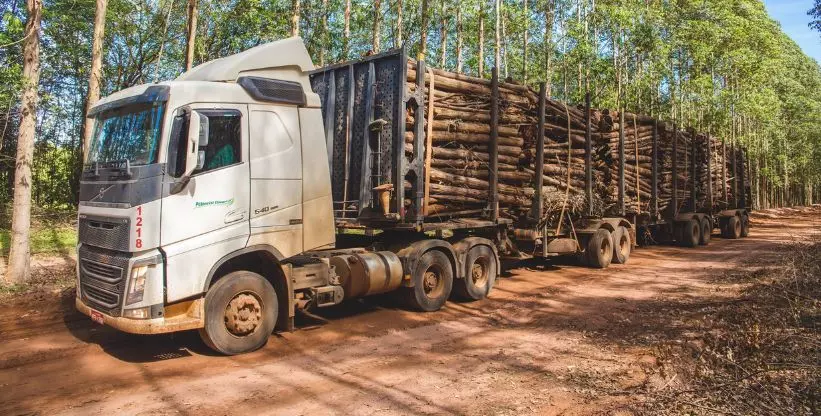 Potencial Florestal abre vagas para motoristas de tritrem